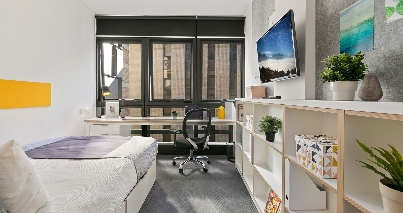 Iglu Chatswood Standard Studio Apartment